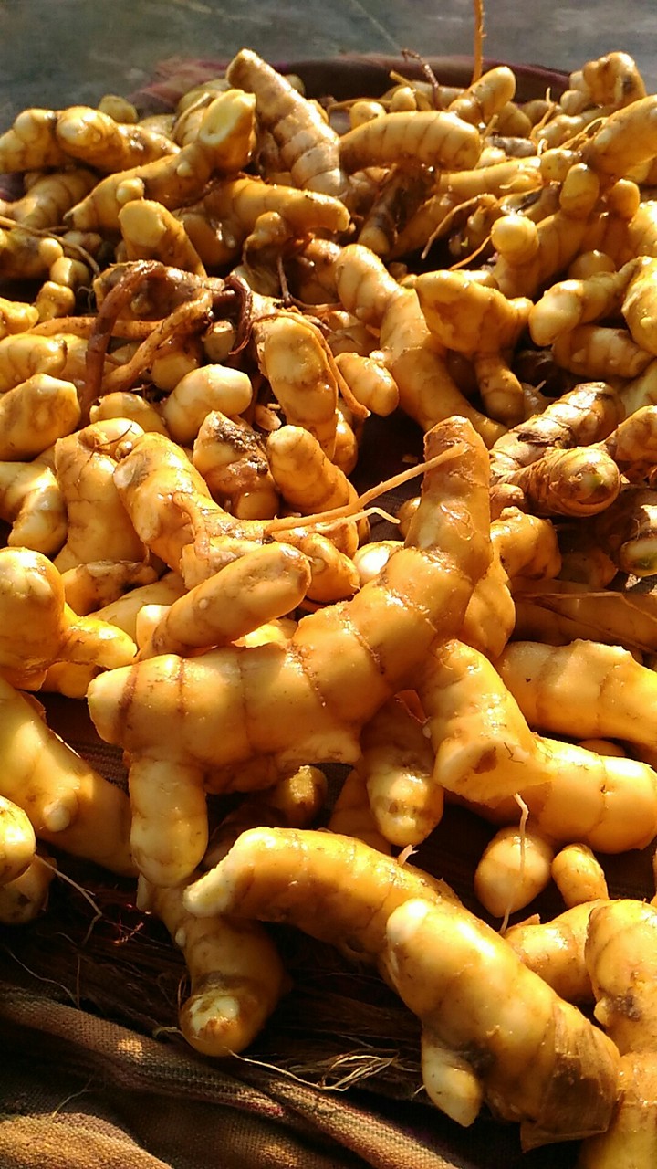 Ginger