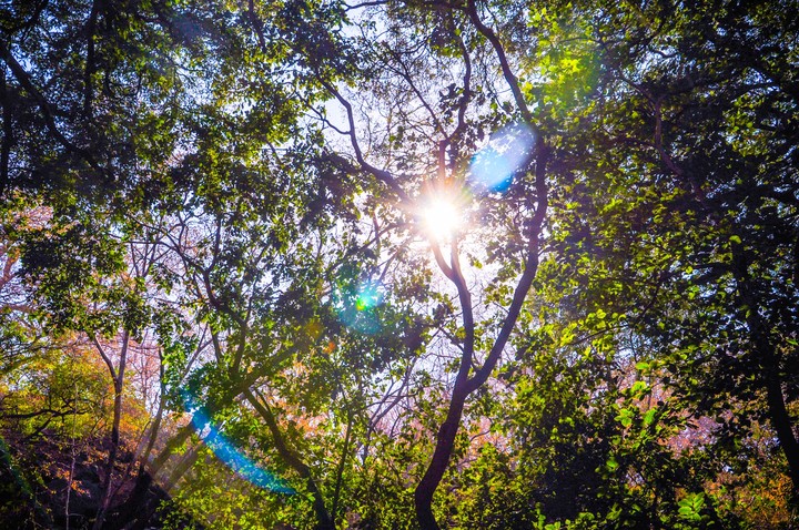 Sun
