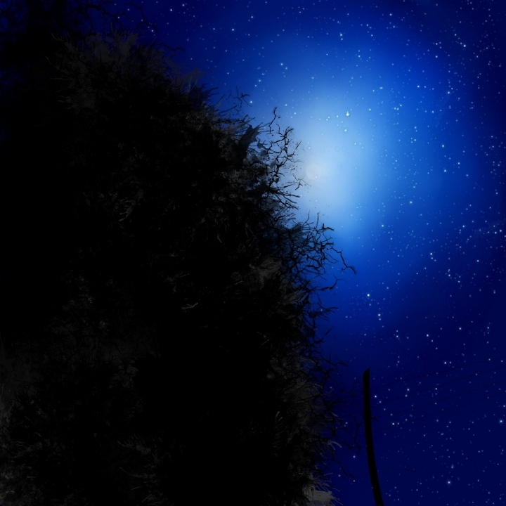 night