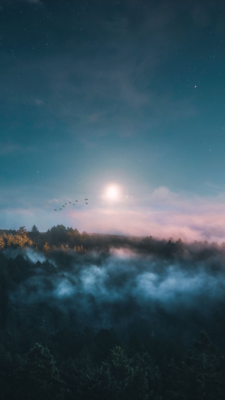 Twilight