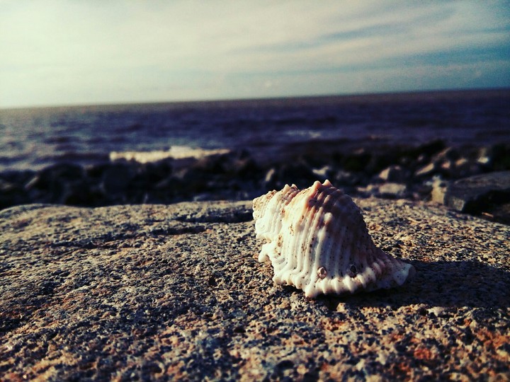 By the sea