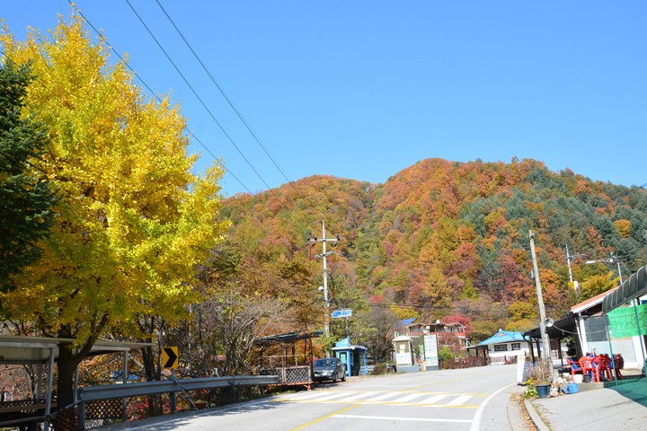 산이미지