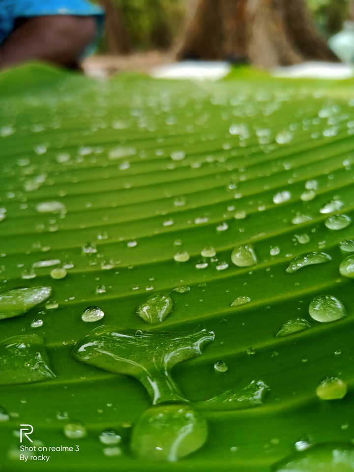 water drop