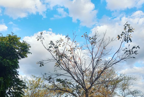 céu