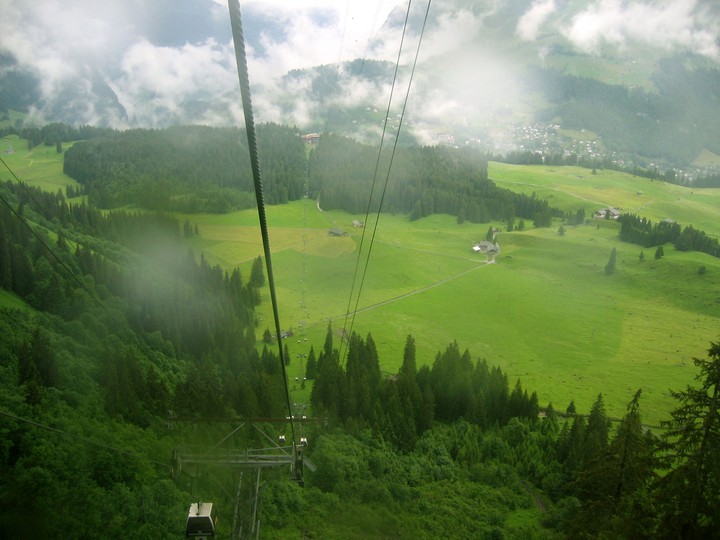 Scenics