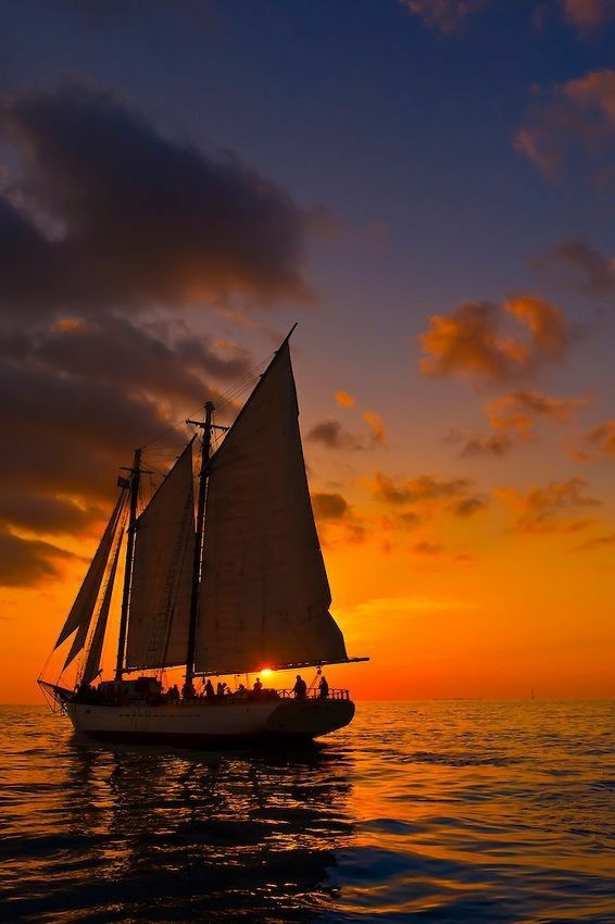 sailboats