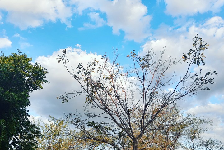 céu