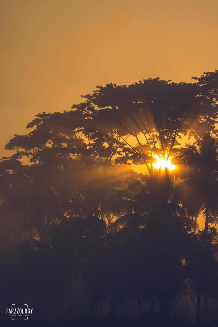 সকালের মিষ্টি রোদ