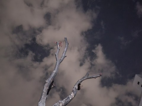 hình nền nature, cloud