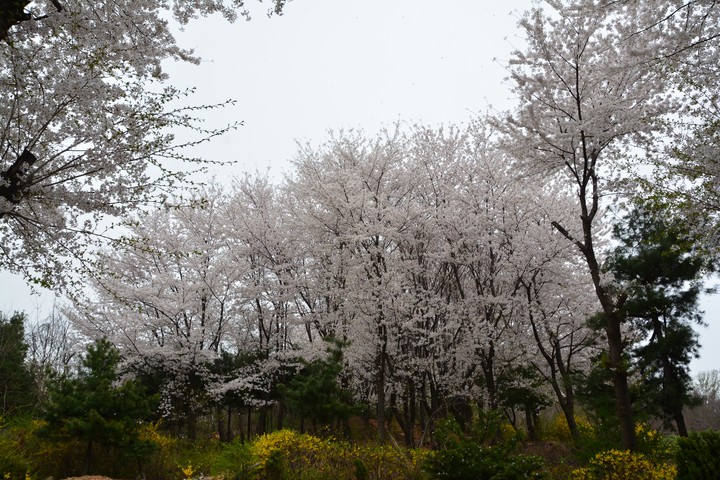 풍경이미지