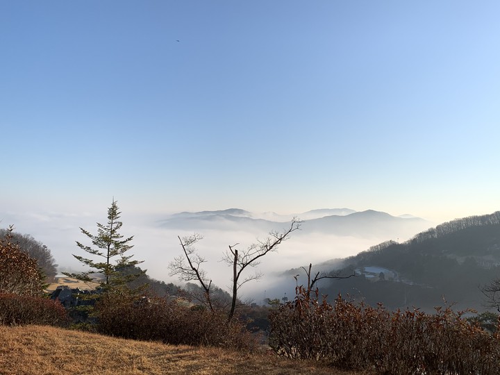 산안개
