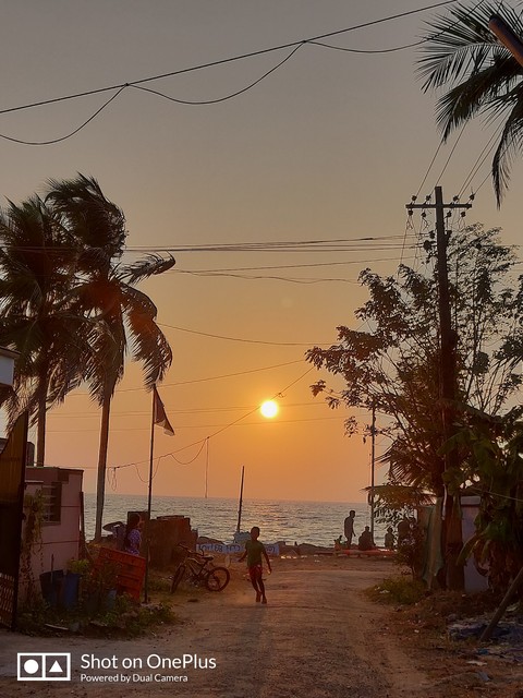 summer