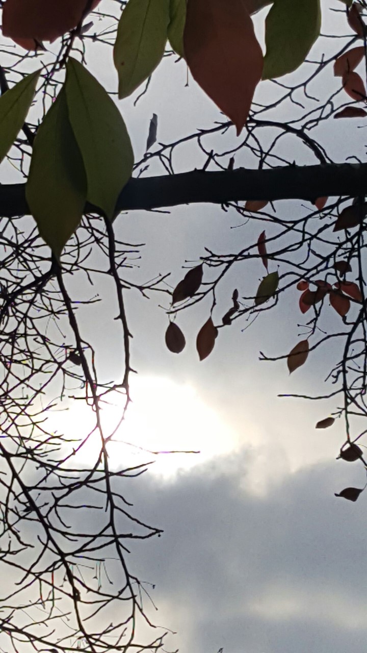 dark clouds