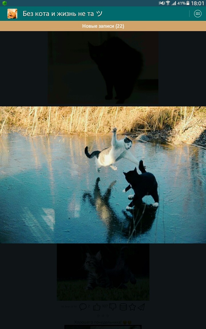 дракааааааааааааа