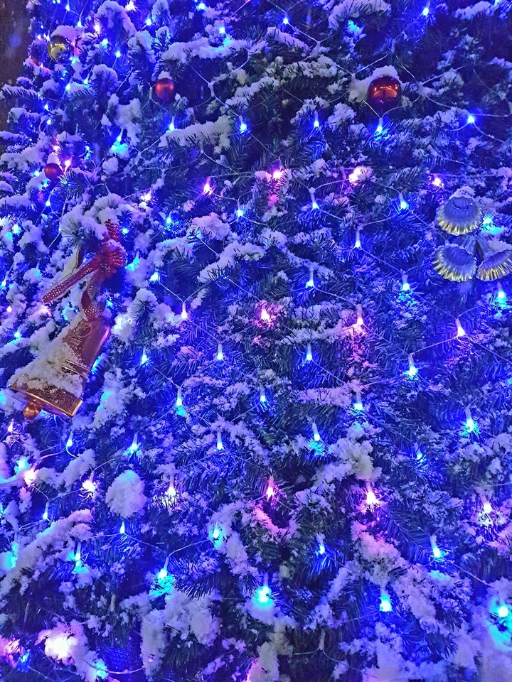 snow