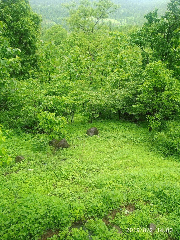 greenery