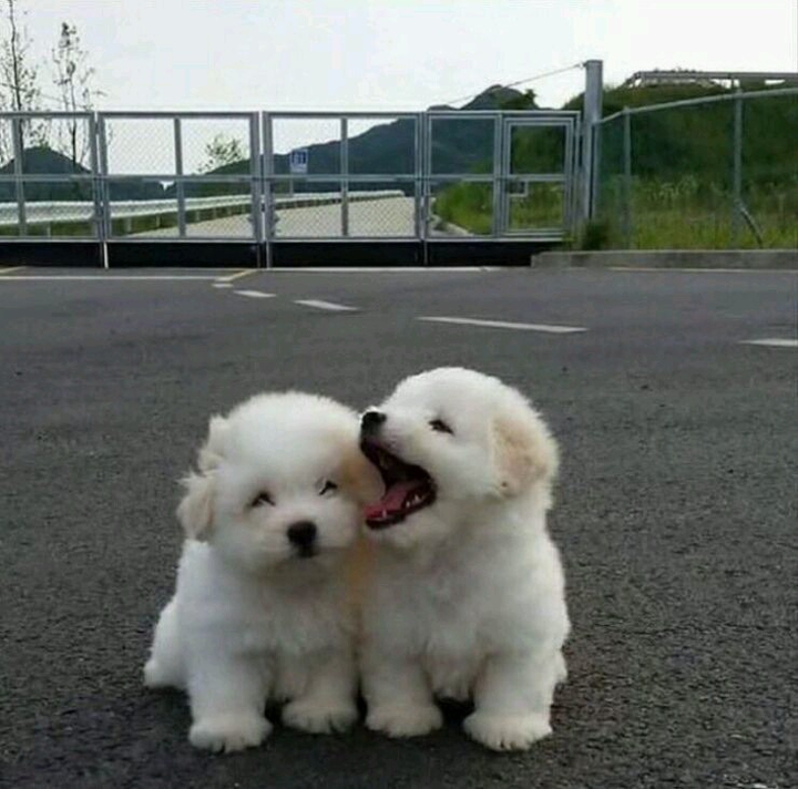 .