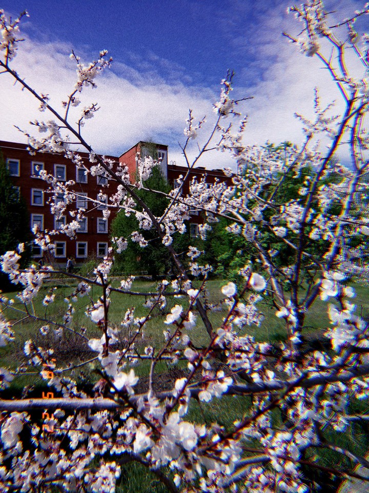 May, 22