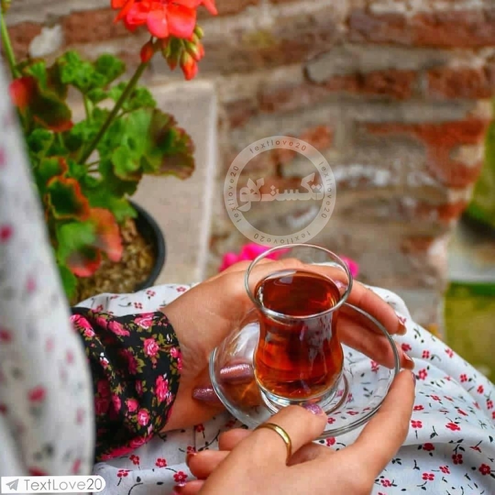 چای و عشق (Tea and Love)