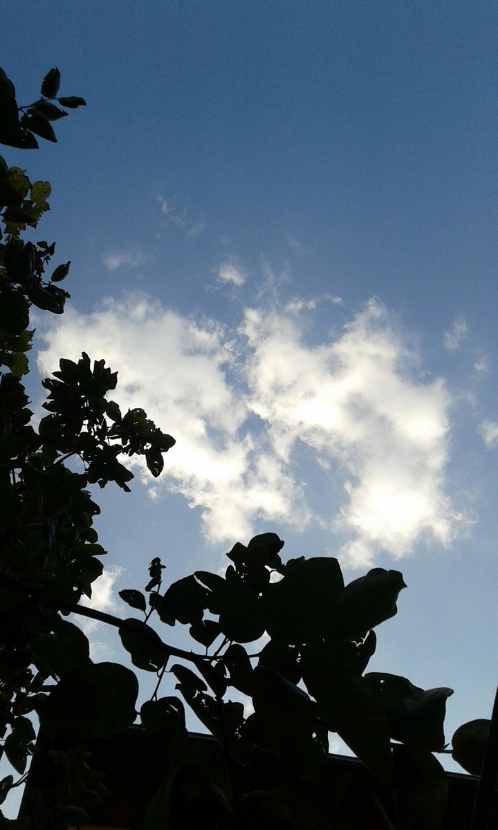 blue sky