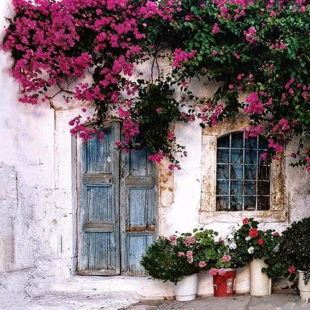Bougainville