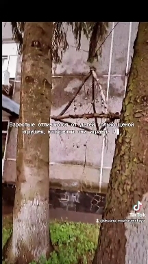 Взрослые дети