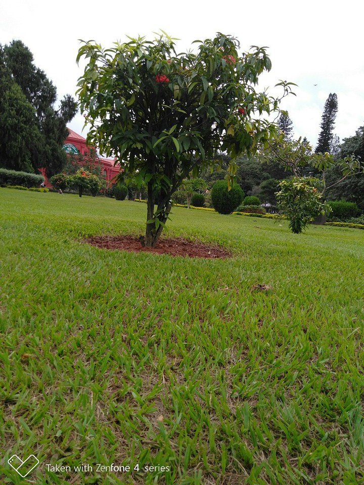 Nature
