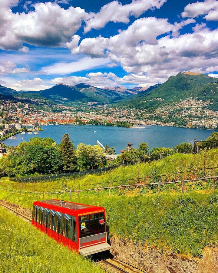 Swiss
