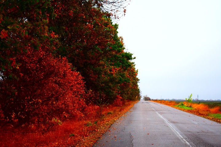 Fall road