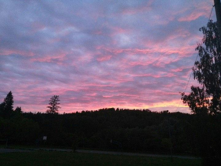 Nature