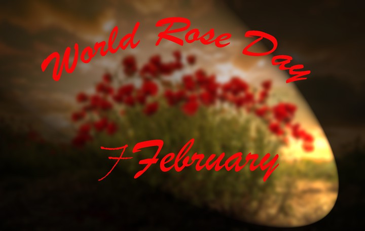 roSe day