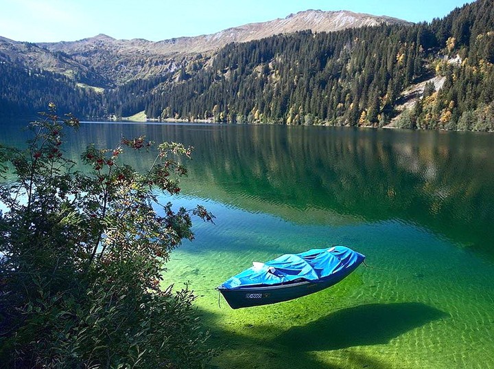 Pure Clean Lake