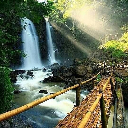 nature