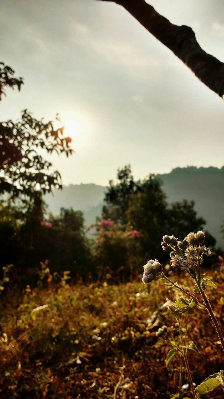 The Unseen Rays