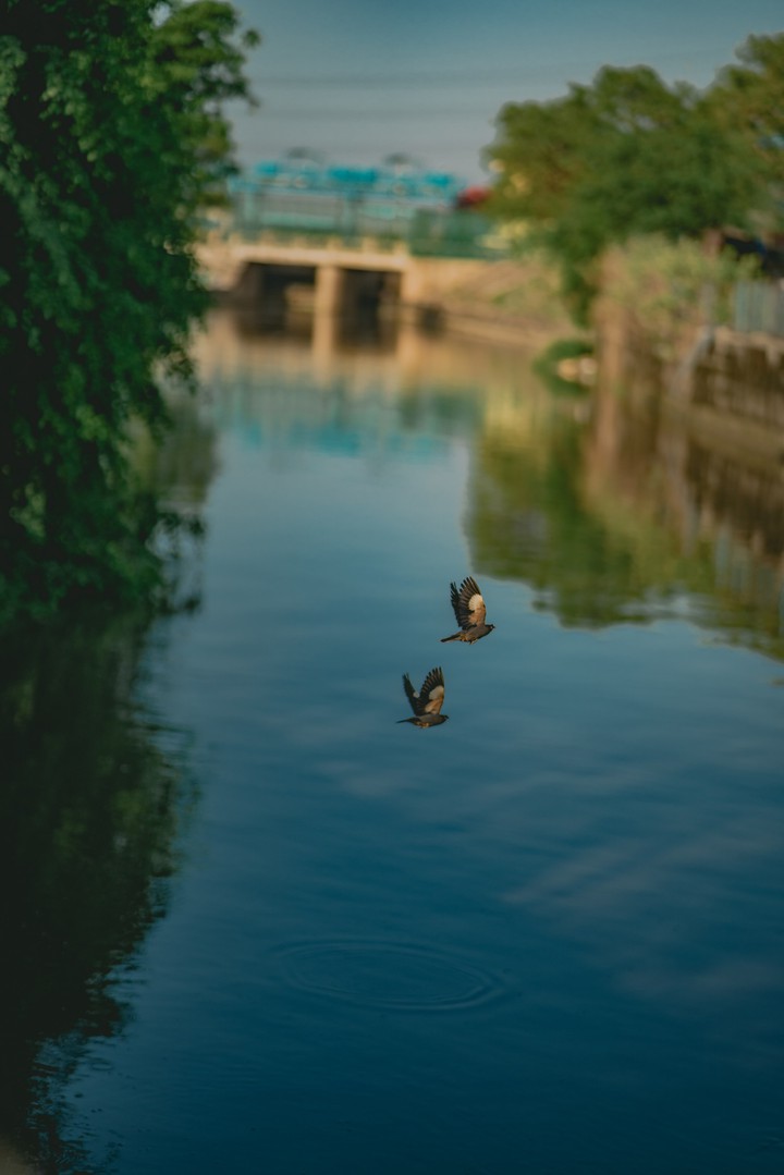 fly high