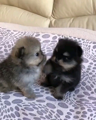 cute