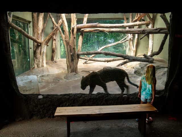 At Zoo