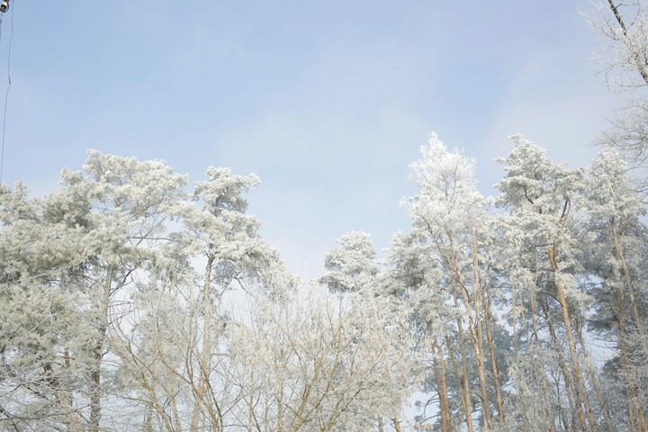 Snow
