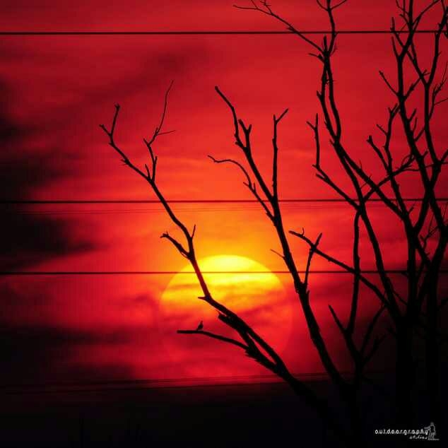 beautiful read sun