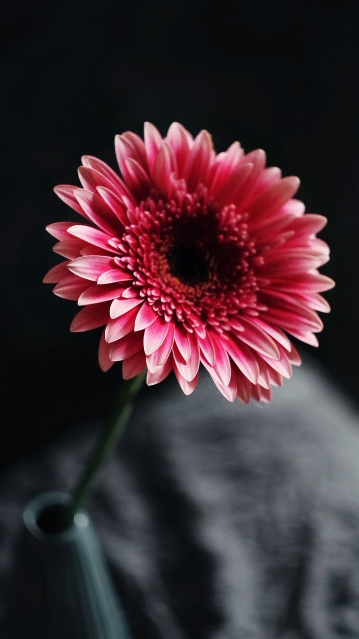Nervous Flower