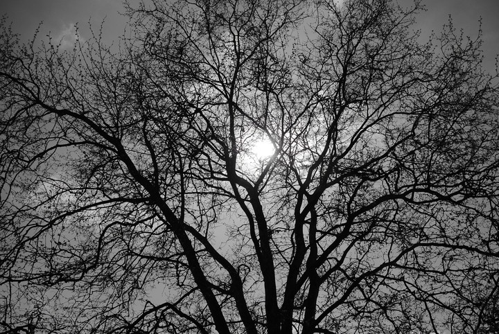 midday sun