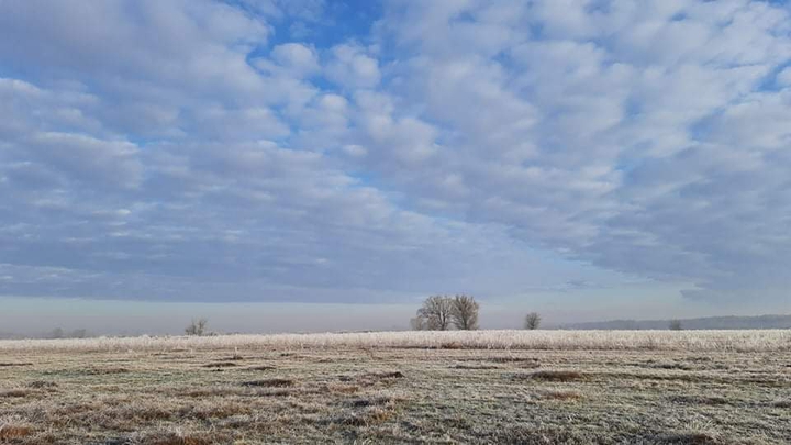 field in frost