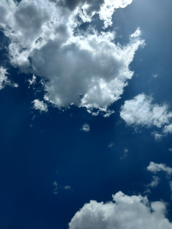 blue and white