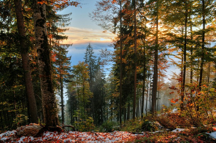 Nature