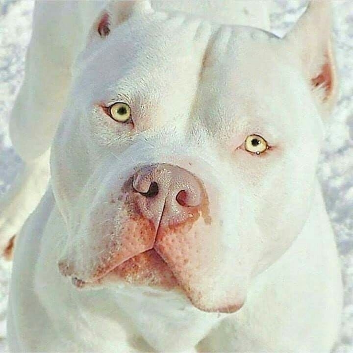 ♥️♥️♥️