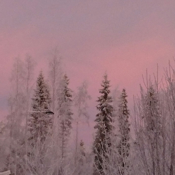 Winter