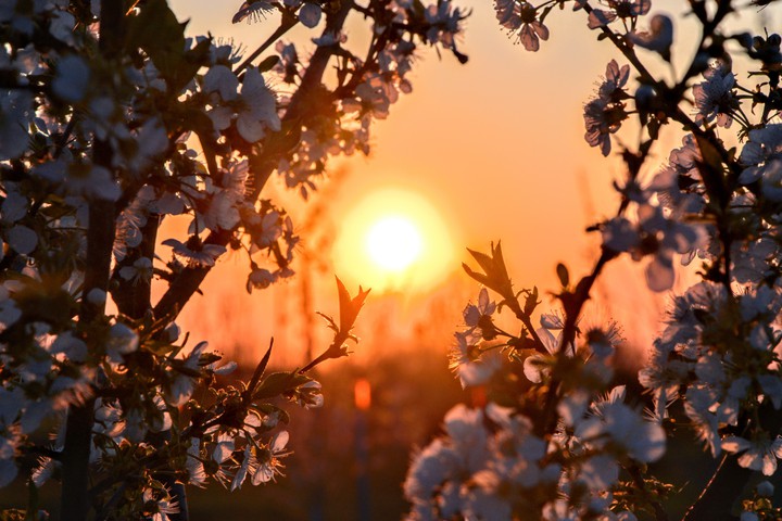 spring sunset