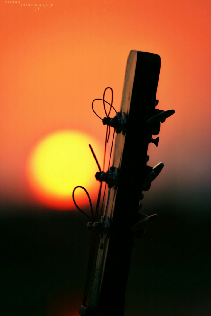 guitar