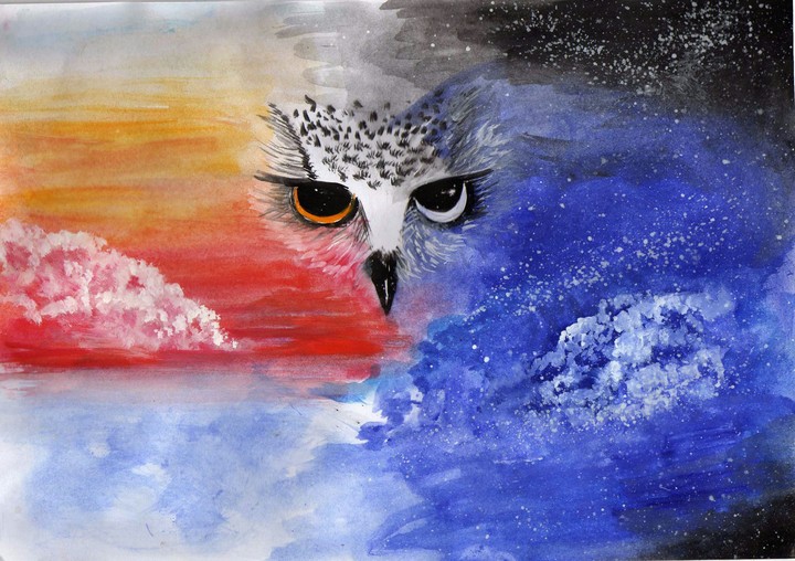 Day/Night/Owl
