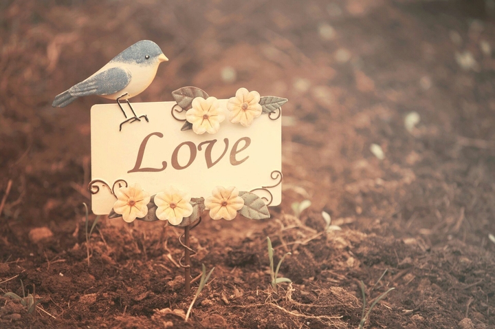 Love you
